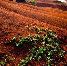 《巫师》小说原作者没有参与开发《巫师4》 但批准了这个游戏